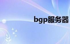 bgp服务器（bgp网络）