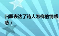 归雁表达了诗人怎样的情感（《归雁》表达了诗人怎样的情感）