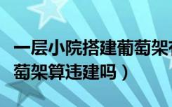 一层小院搭建葡萄架有何规定（一楼院子搭葡萄架算违建吗）