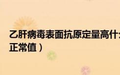 乙肝病毒表面抗原定量高什么原因（乙肝病毒表面抗原定量正常值）