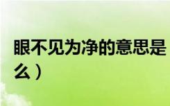 眼不见为净的意思是（眼不见为净的意思是什么）