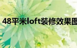 48平米loft装修效果图（48平loft怎么装修）