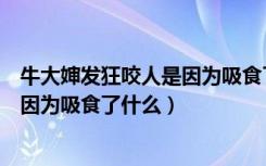 牛大婶发狂咬人是因为吸食了什么病毒（牛大婶发狂咬人是因为吸食了什么）