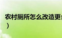 农村厕所怎么改造更合适（农村厕所怎么改造）