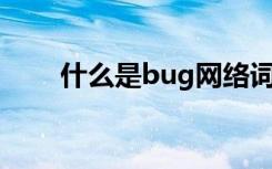 什么是bug网络词语（什么是BUG）