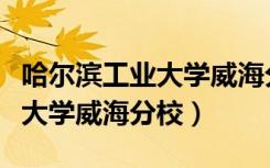 哈尔滨工业大学威海分校分数线（哈尔滨工业大学威海分校）