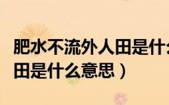 肥水不流外人田是什么意思啊（肥水不流外人田是什么意思）