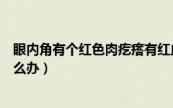 眼内角有个红色肉疙瘩有红血丝（眼内角有个红色肉疙瘩怎么办）