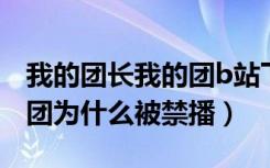 我的团长我的团b站下架了嘛（我的团长我的团为什么被禁播）