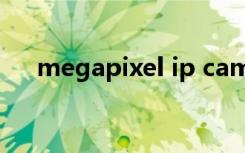 megapixel ip camera（megapixel）