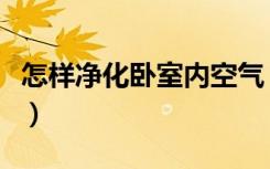 怎样净化卧室内空气（室内装修空气怎么净化）