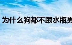 为什么狗都不跟水瓶男谈（为什么狗能干人）