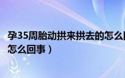 孕35周胎动拱来拱去的怎么回事呀（孕35周胎动拱来拱去的怎么回事）