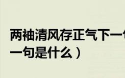 两袖清风存正气下一句是（两袖清风存正气下一句是什么）