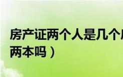 房产证两个人是几个房本（两人共有房产证是两本吗）