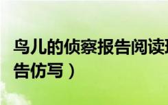 鸟儿的侦察报告阅读理解答案（鸟儿的侦察报告仿写）