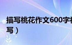 描写桃花作文600字初中（描写桃花作文怎么写）