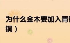 为什么金木要加入青铜树（金木为什么加入青铜）