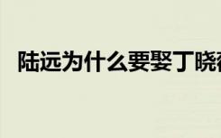 陆远为什么要娶丁晓薇（陆远为什么坐牢）