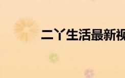 二丫生活最新视频（二专学校）