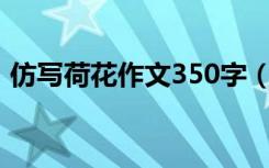 仿写荷花作文350字（仿写荷花作文怎么写）