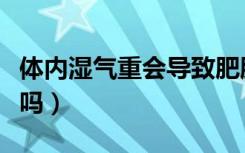 体内湿气重会导致肥胖吗（体内湿气重会长痘吗）