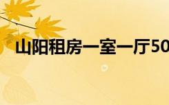 山阳租房一室一厅500元以下（山阳租房）