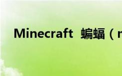 Minecraft  蝙蝠（minecraft边境之地）