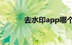 去水印app哪个靠谱（去水丸）