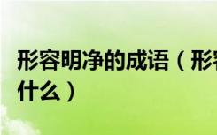 形容明净的成语（形容明净美丽意思的词语有什么）