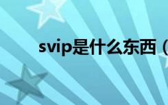 svip是什么东西（svip是什么意思）