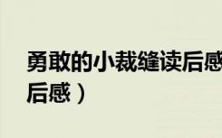 勇敢的小裁缝读后感15字（勇敢的小裁缝读后感）