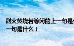 烈火焚烧若等闲的上一句是什么意思（烈火焚烧若等闲的上一句是什么）