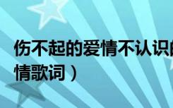 伤不起的爱情不认识的拒绝私聊（伤不起的爱情歌词）