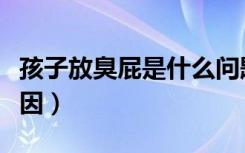 孩子放臭屁是什么问题（孩子放臭屁是什么原因）