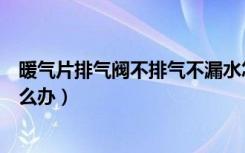 暖气片排气阀不排气不漏水怎么办（暖气片排气阀不排气怎么办）