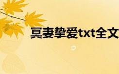 冥妻挚爱txt全文下载（冥妻挚爱）