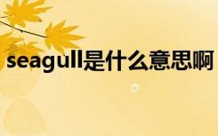 seagull是什么意思啊（seagull是什么意思）