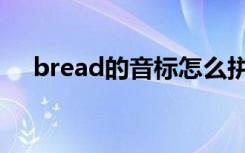 bread的音标怎么拼读（bread的音标）