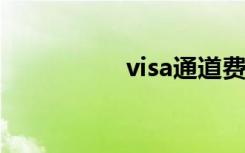 visa通道费用（visat）