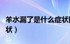 羊水漏了是什么症状图片（羊水漏了是什么症状）