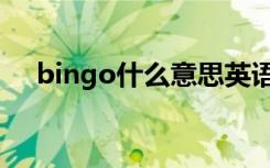 bingo什么意思英语（bingo什么意思）