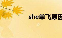 she单飞原因（she单飞）