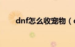 dnf怎么收宠物（dnf怎么手动更新）