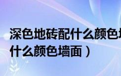 深色地砖配什么颜色墙砖（深色地砖可以搭配什么颜色墙面）