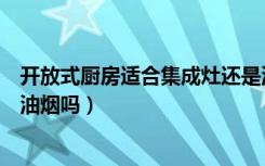 开放式厨房适合集成灶还是油烟机（集成灶做开放式厨房有油烟吗）