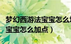 梦幻西游法宝宝怎么堆极限法伤（梦幻西游法宝宝怎么加点）