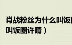 肖战粉丝为什么叫饭圈许晴（肖战粉丝为什么叫饭圈许晴）