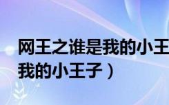 网王之谁是我的小王子txt下载（网王之谁是我的小王子）