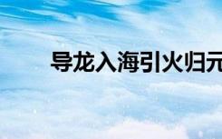 导龙入海引火归元寓意（导龙入海）